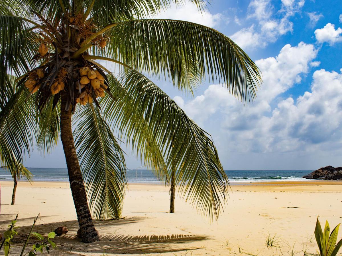 Bushman Tioman Hotel Kampong Juara Exterior photo